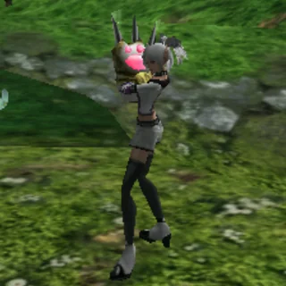 パンサークローを装備したキャラクター